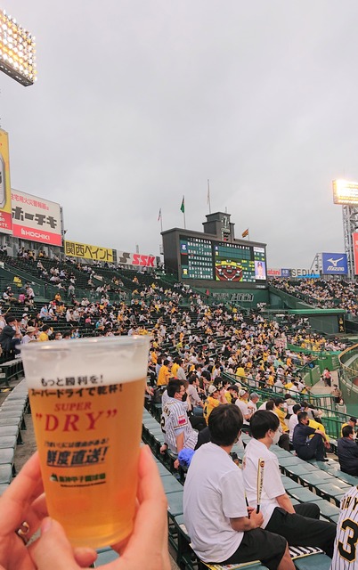 hanshin-tigers-koshien-210701-3a