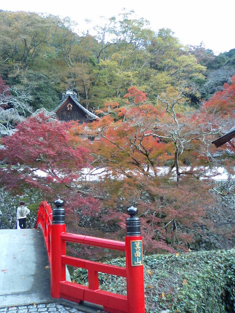 autumn-leaves-2006-minoh-3