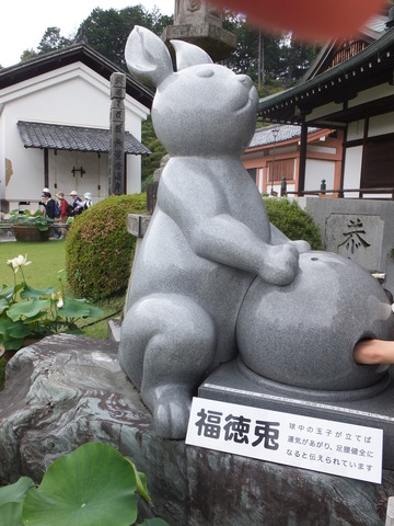 DSCF1980