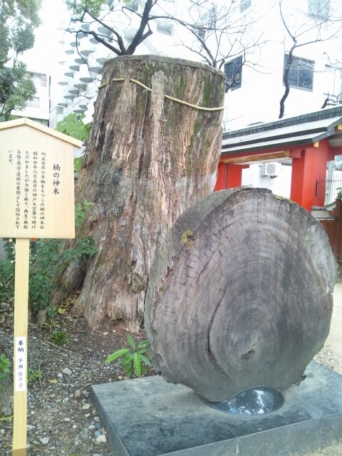 kobe-ikutajinja-1202-2