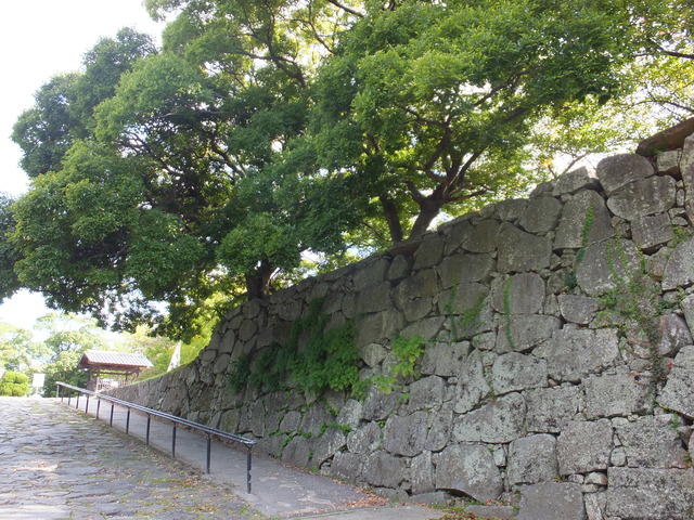 DSCF2111