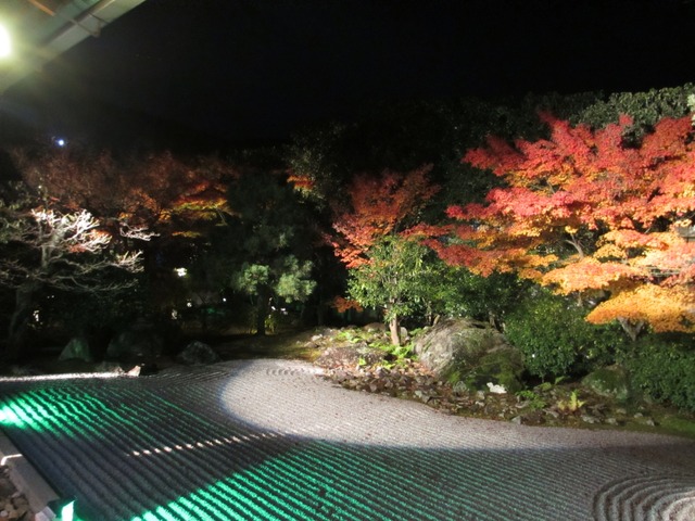 autumn-leaves-2012-entokuin-6