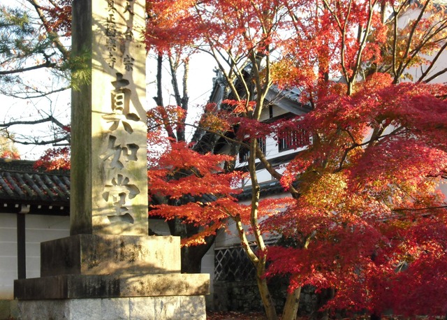 autumn-leaves-2012-shinnyodo-14