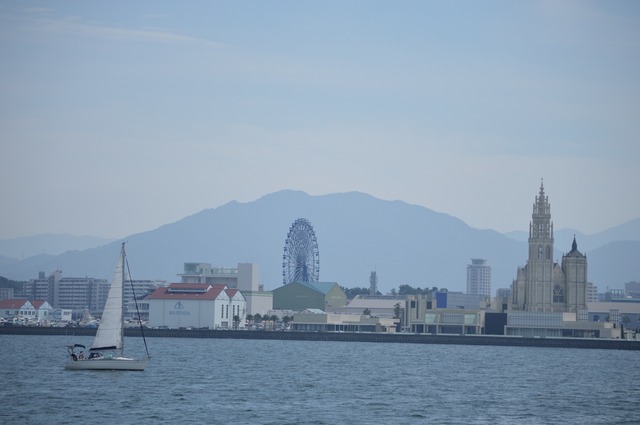 DSC_0378
