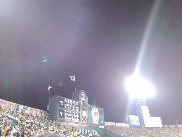 hanshin-tigers-koshien-100902