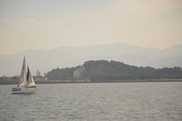 DSC_0371