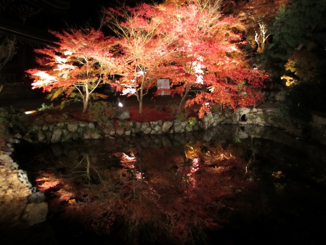 autumn-leaves-2012-chionin-18