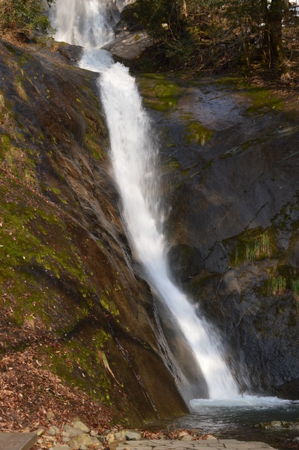 DSC_0073
