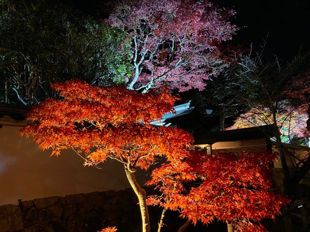manganji-candlenight-2019-03