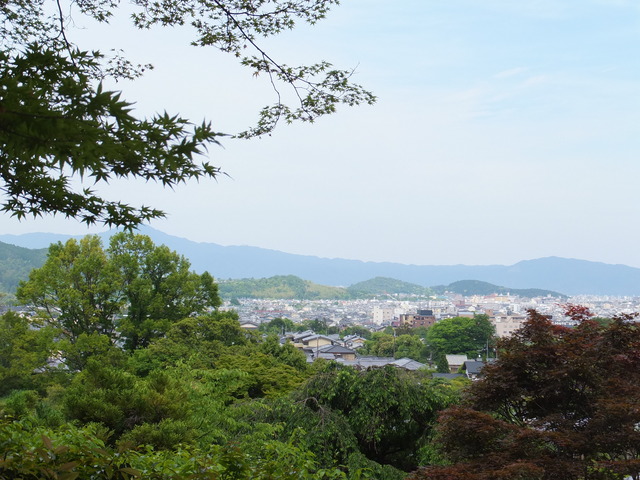 DSCF1793