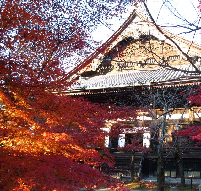 autumn-leaves-2012-shinnyodo-5