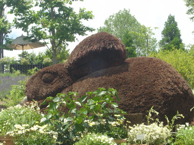 garden-museum-hiei-1107-3