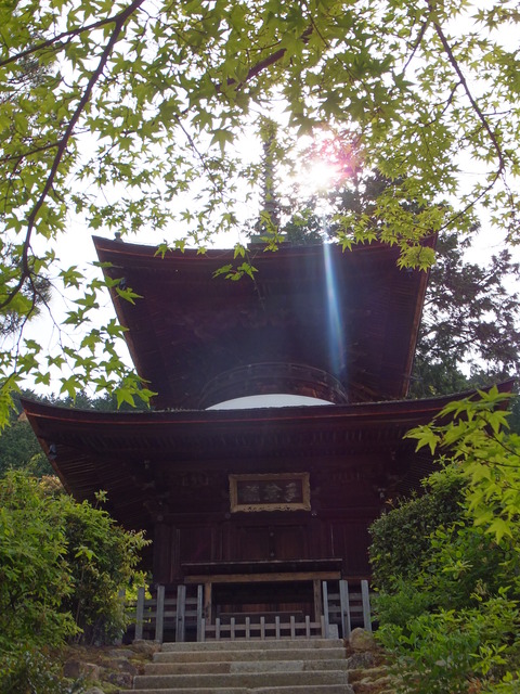 DSCF1797
