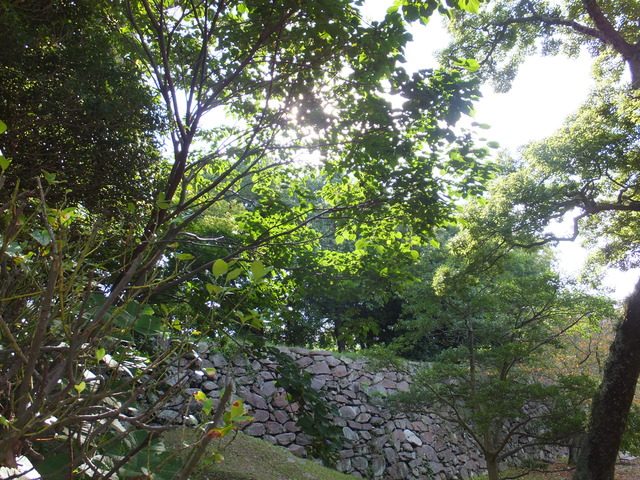 DSCF2106