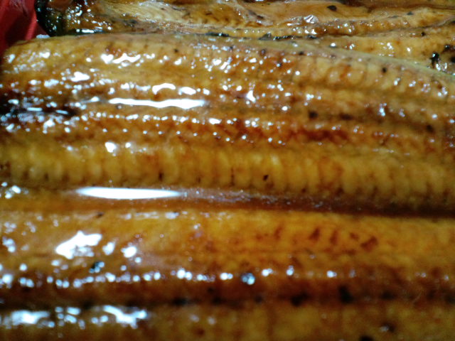 unagi-2010-0726-3