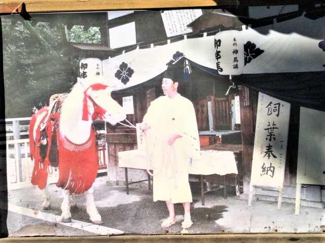 2012hatsumode-sumiyoshitaisya-5