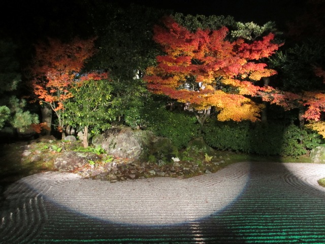 autumn-leaves-2012-entokuin-2