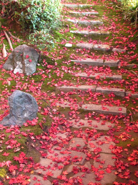 autumn-leaves-2012-shinnyodo-22