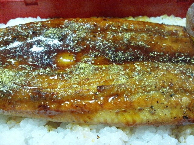 unagi-2012-0727-2