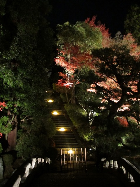 autumn-leaves-2012-chionin-5