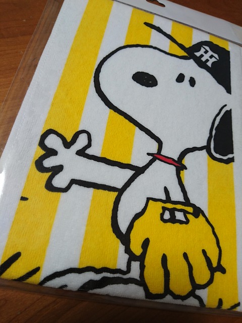 mybirthday-present-2017-3