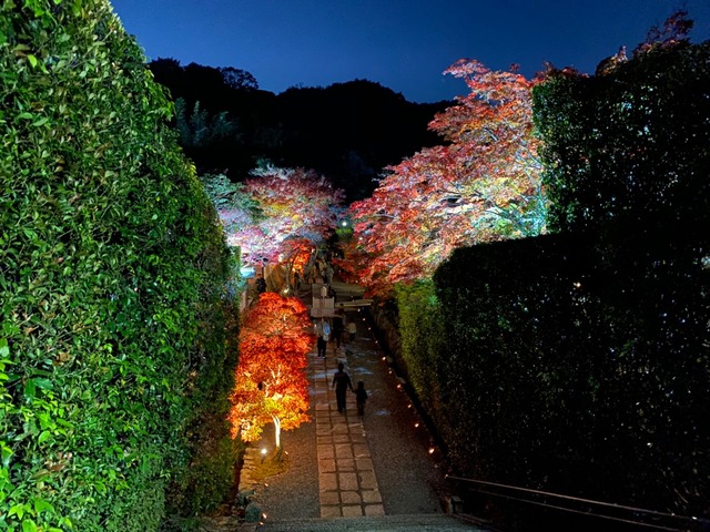 manganji-candlenight-2019-08