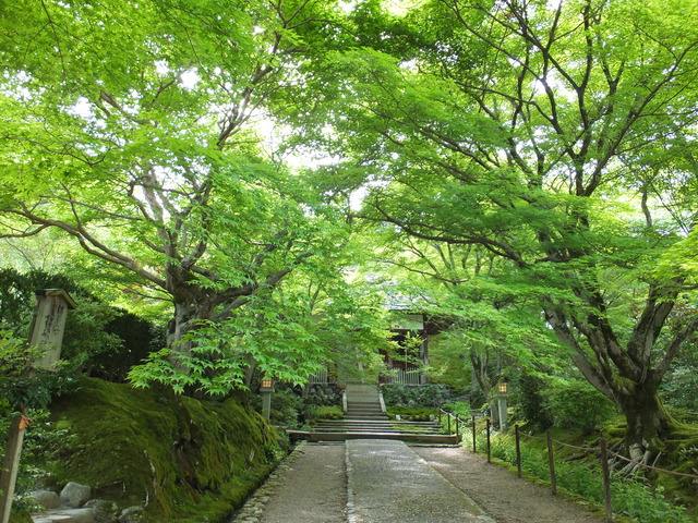 DSCF1784