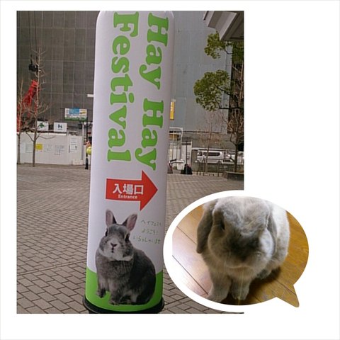 PhotoGrid_1421591125671