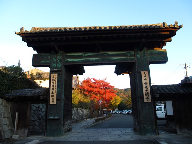 autumn-leaves-2012-shinnyodo-29