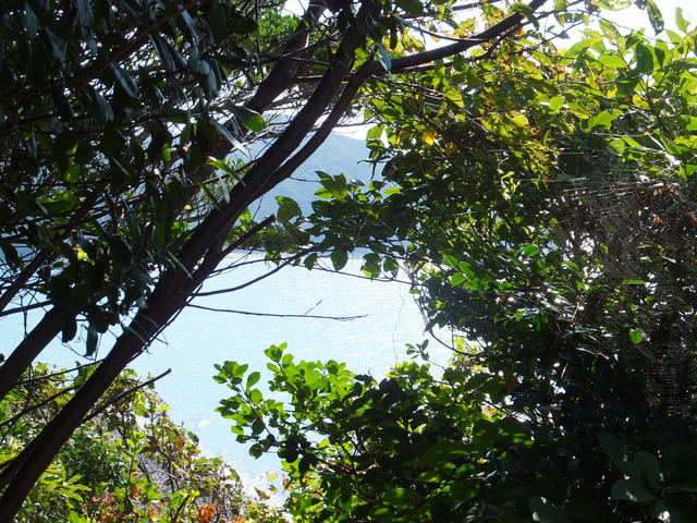 DSCF2069