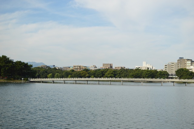 DSC_0249