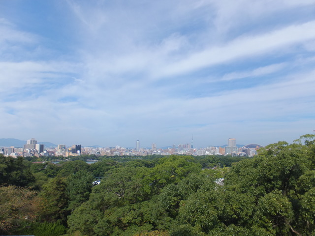 DSCF2114