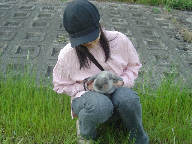 mypet-rabbit-sora-usanpo2011-10