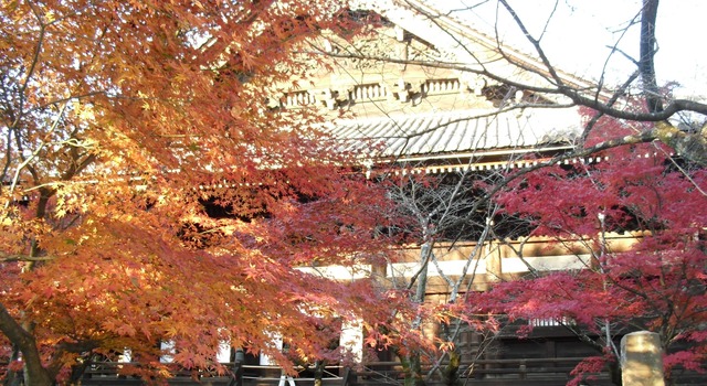 autumn-leaves-2012-shinnyodo-4
