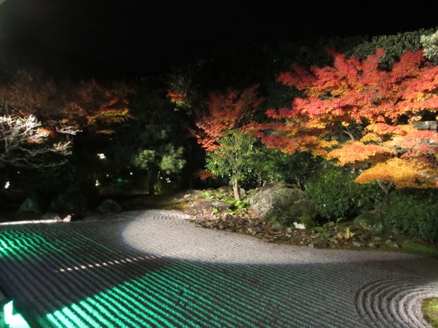 autumn-leaves-2012-entokuin-4