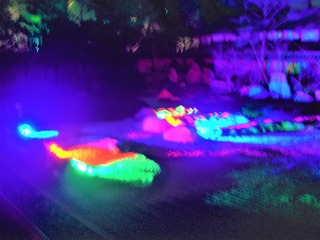 kyoto-hanatouro-higashiyama-201103-4