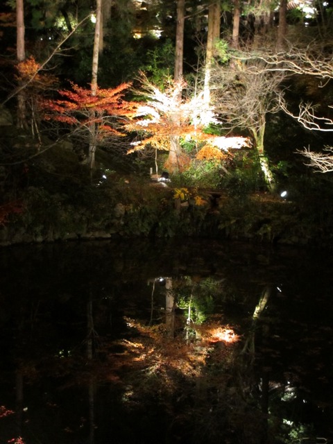 autumn-leaves-2012-chionin-19