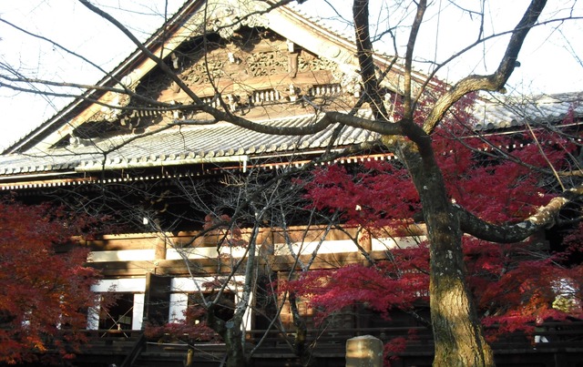 autumn-leaves-2012-shinnyodo-3