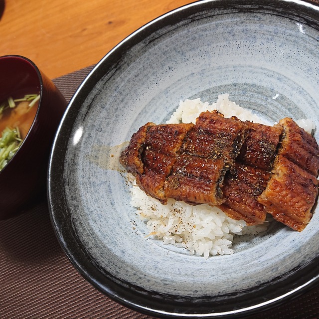 unagi-2021-0728-6