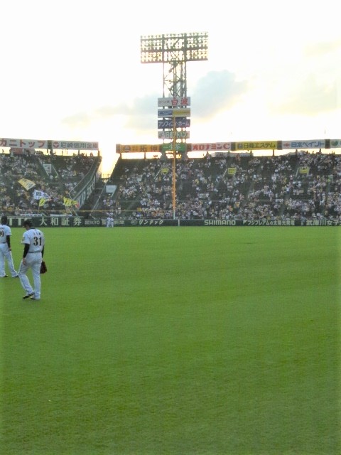 hanshin-tigers-koshien-110915-2