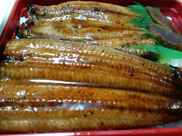 unagi-2010-0726-2
