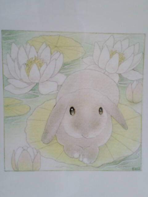 mypet-rabbit-sora-110806-1