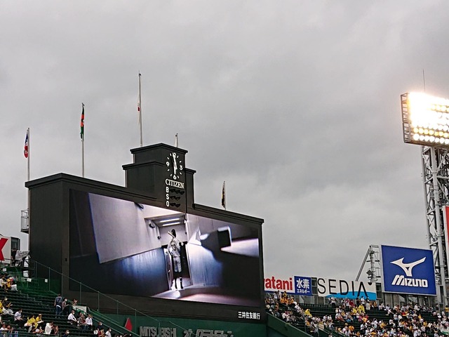 hanshin-tigers-koshien-210701-1a