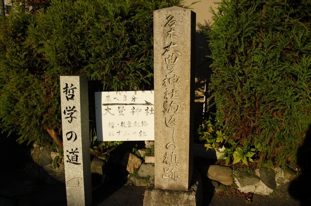 autumn-leaves-2012-kyoto-tetsugakunomichi-11