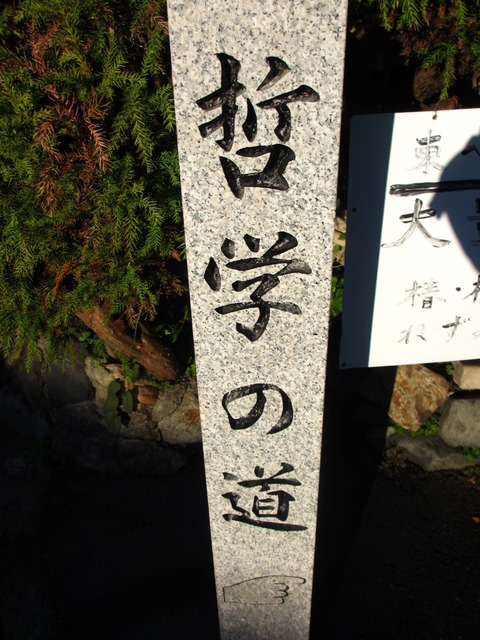 autumn-leaves-2012-kyoto-tetsugakunomichi-12