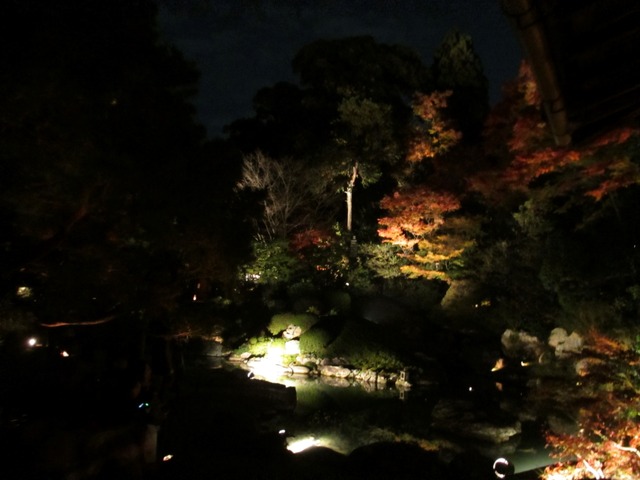 autumn-leaves-2012-shorenin-9
