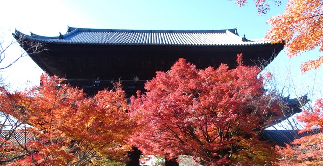 autumn-leaves-2012-nanzenji-12