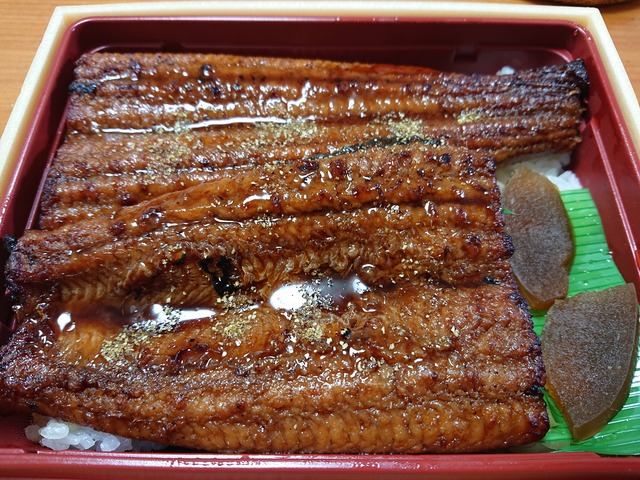 unagi-2019-0728-2