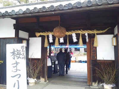 kobe-sakagura-shushinkan-umematsuri-1202-1