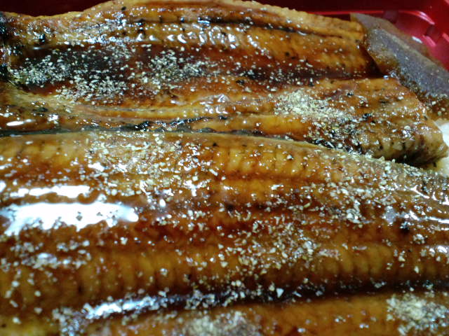 unagi-2010-0726-5